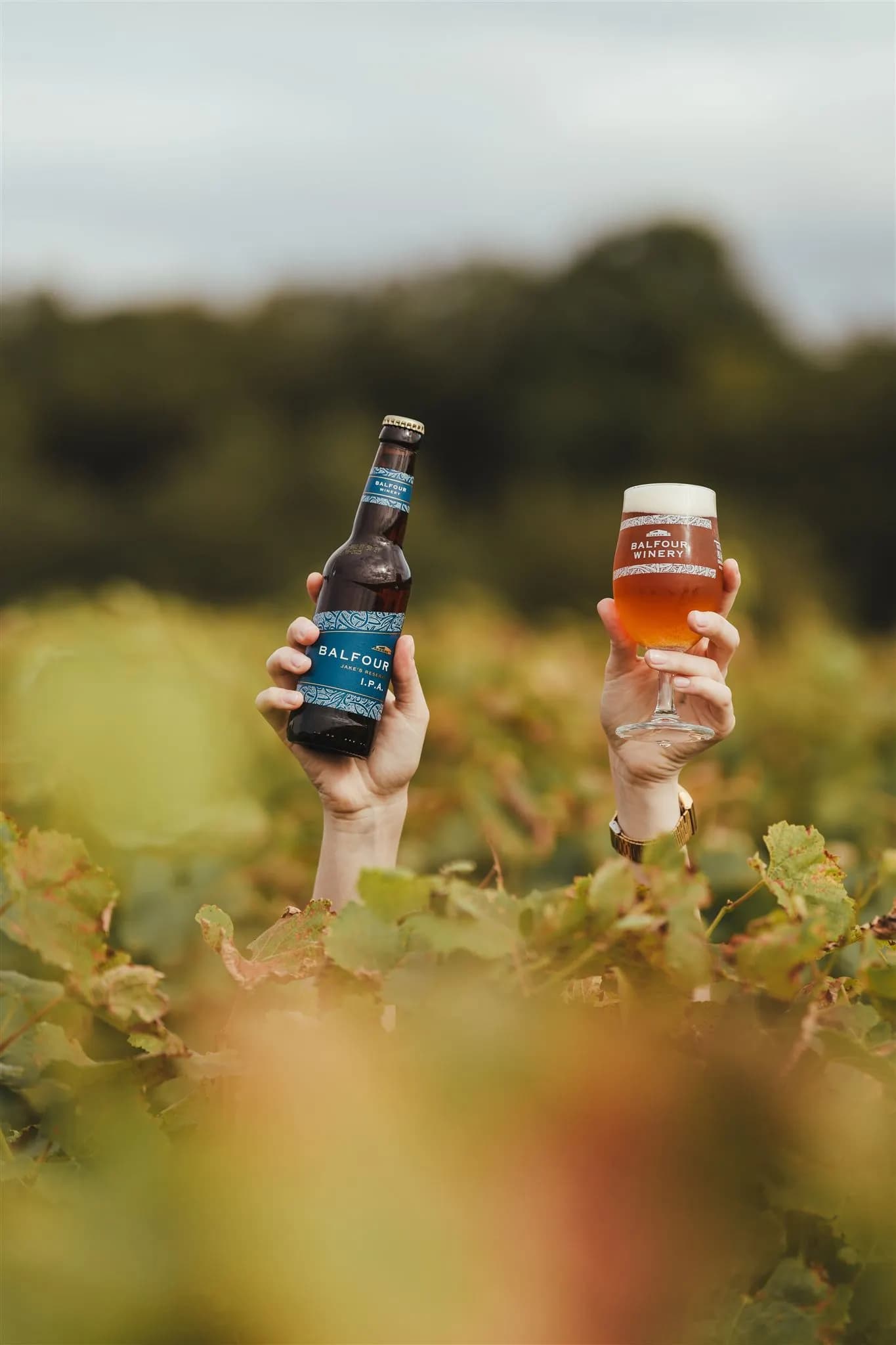 Balfour IPA (12)