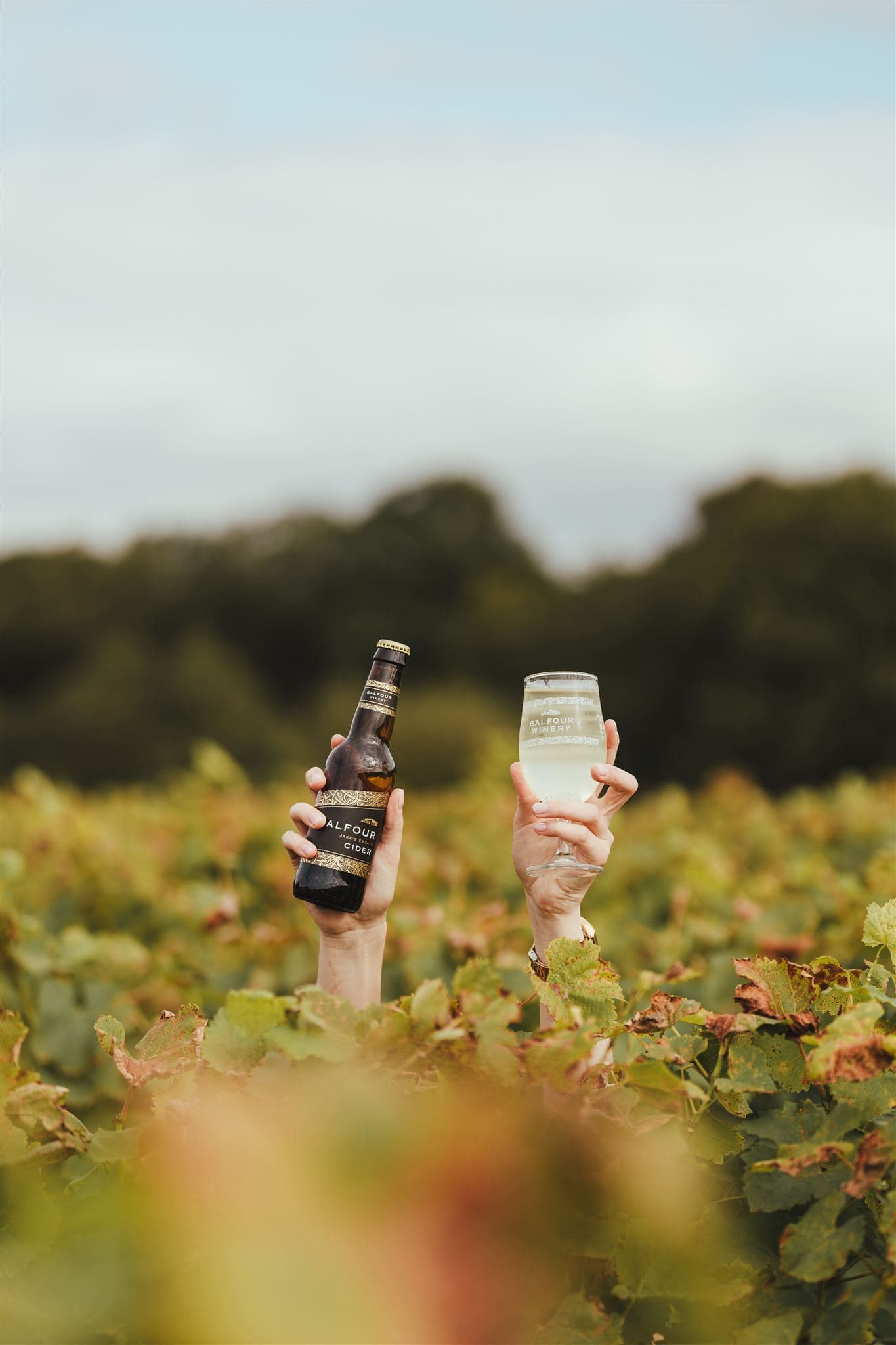 Balfour Cider (12)