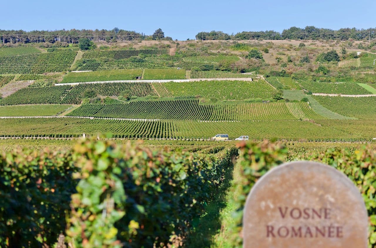Burgundy vineyard prices defy gravity with new records in 2025