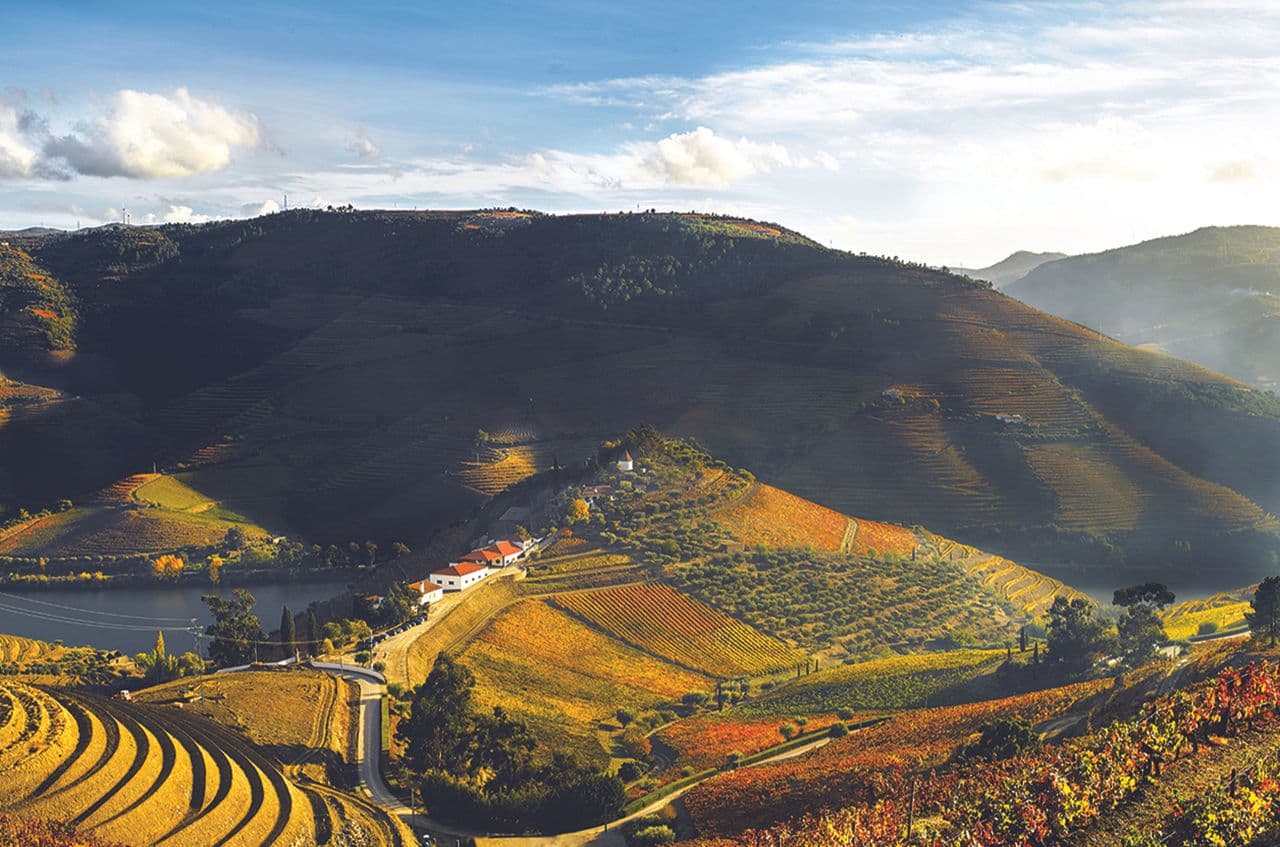 The Douro Valley's winemaking mavericks are back and bringing the next generation on board