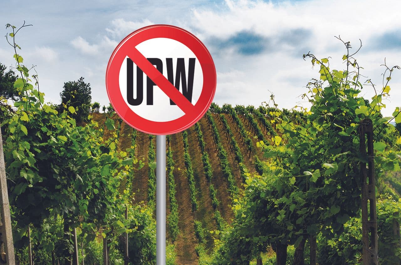 Ultra-processed wines… and how to avoid them