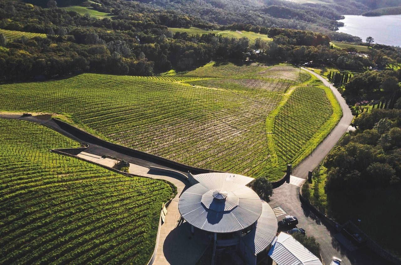 Why 2023 is the vintage of a lifetime in Napa Valley