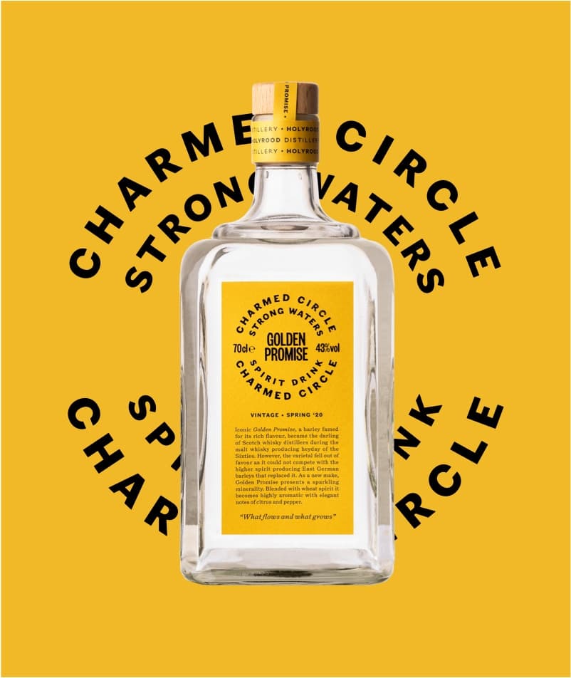 Charmed Circle Golden Promise