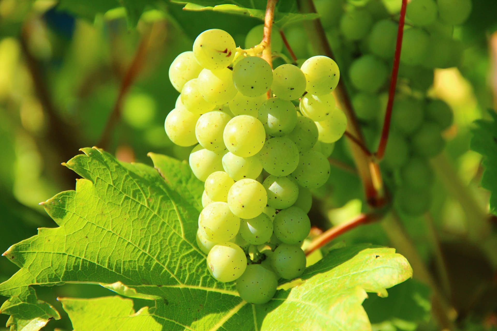 2025 UK record breaking harvest figures released