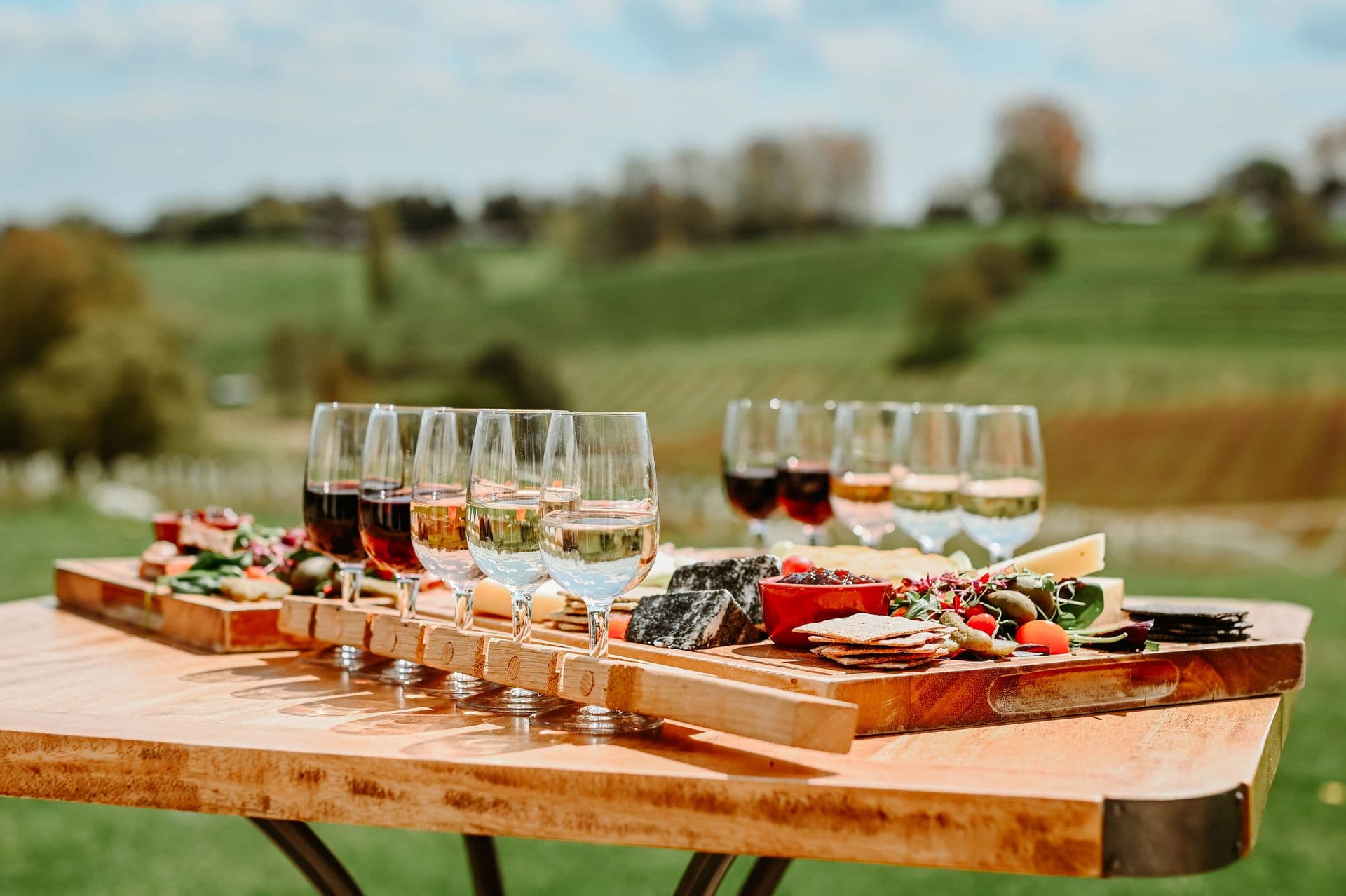 What to expect from a vineyard wine tasting day