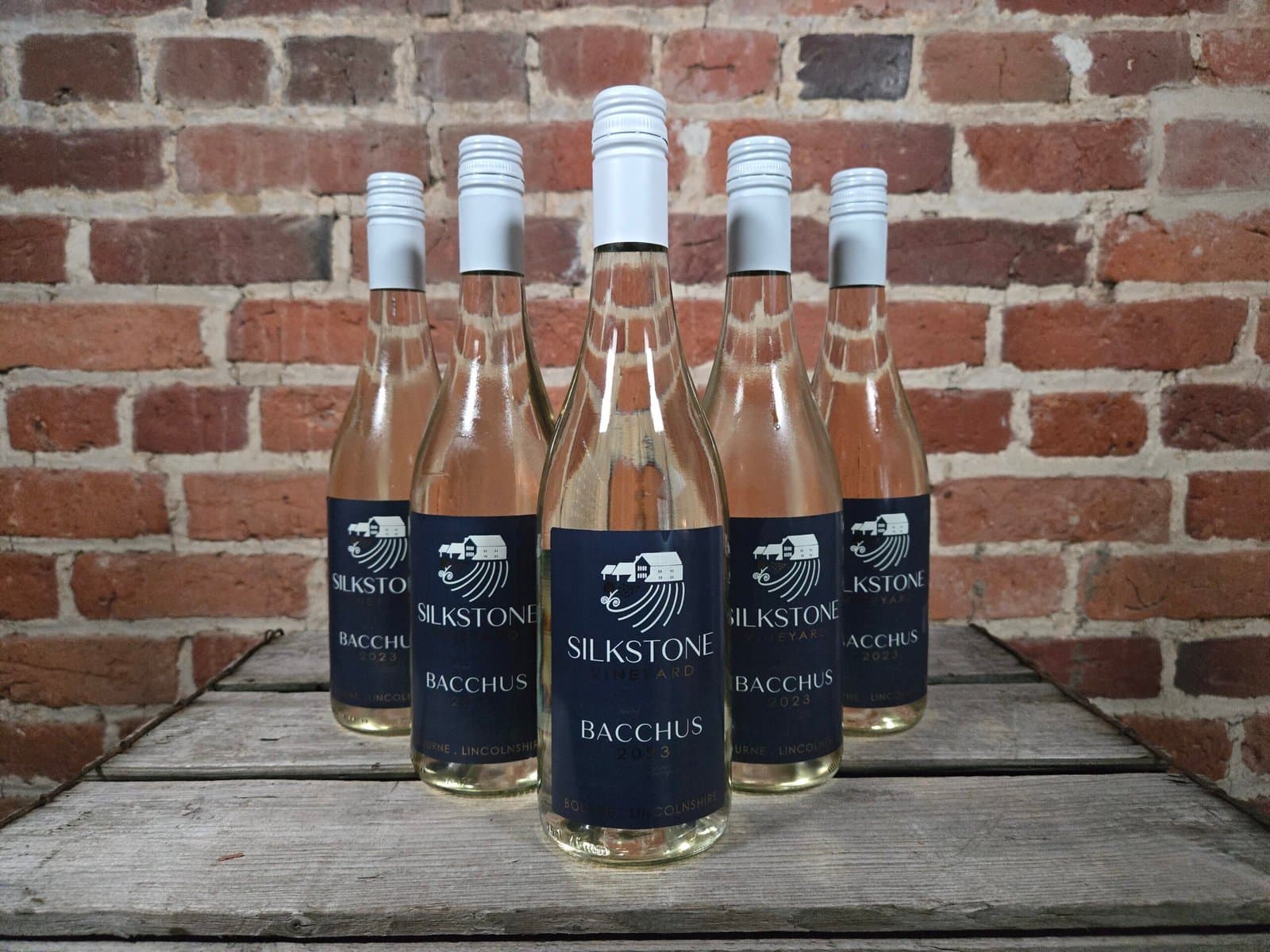 Silkstone Vineyard Bacchus 2023 (BOX)