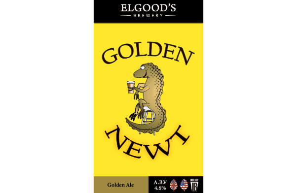 Golden Newt