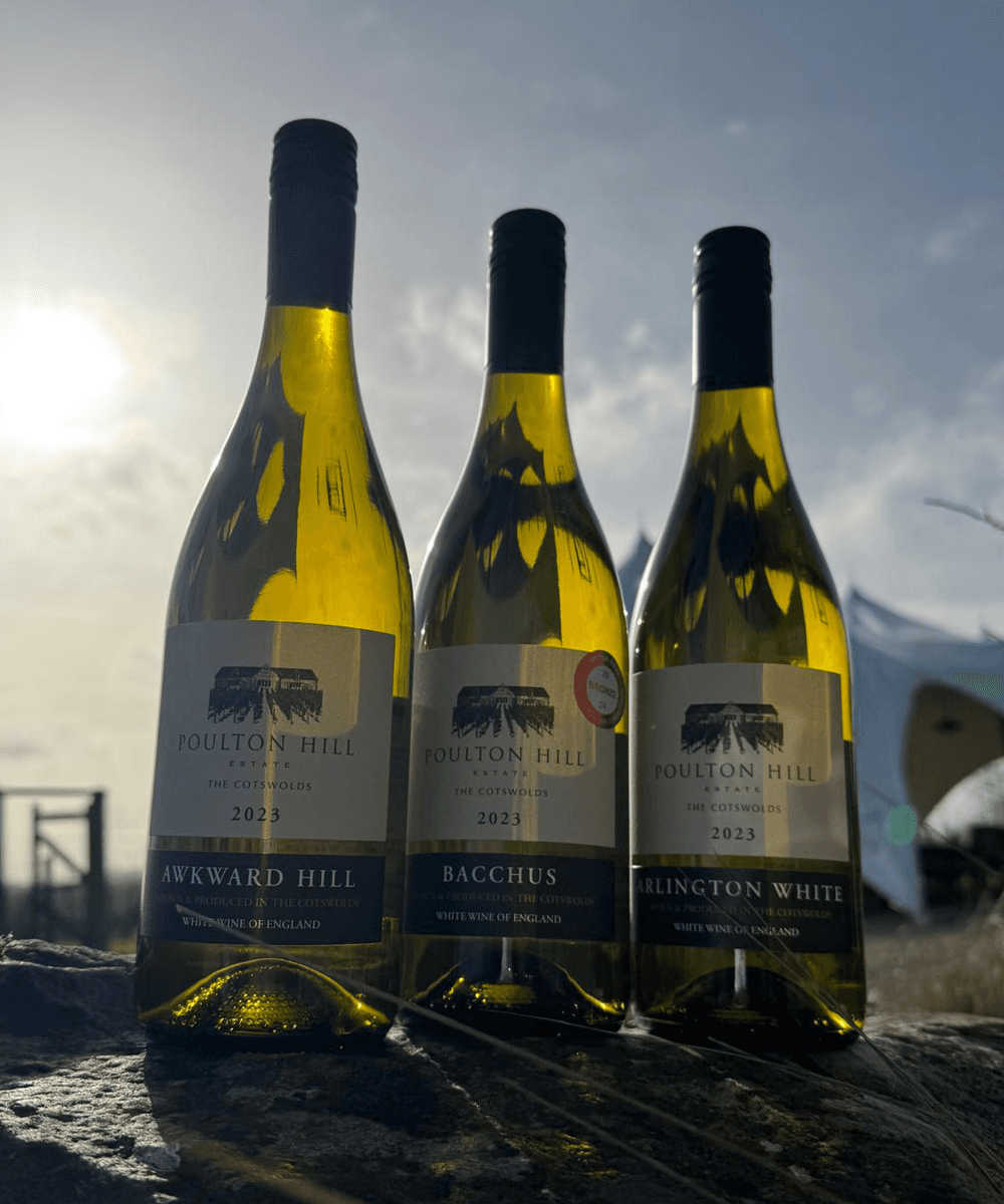 Whites Trio Offer