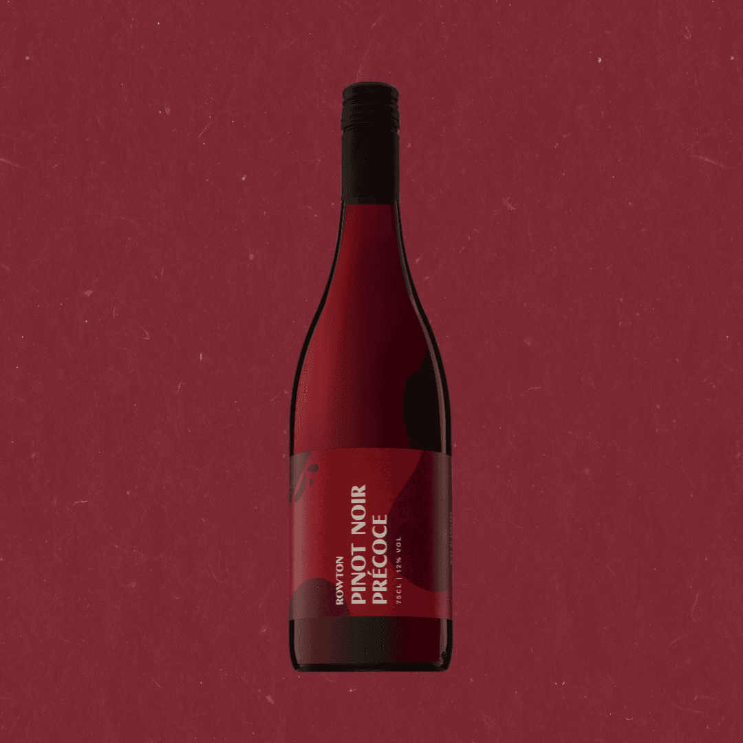 Red Pinot Noir Précoce