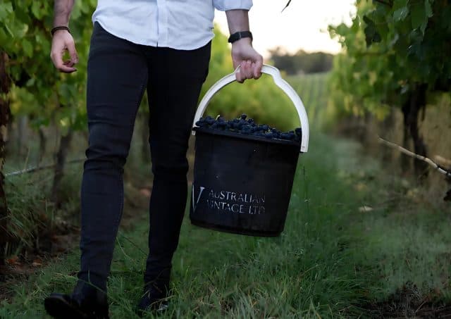 Australian Vintage scores £12.5m in refinancing