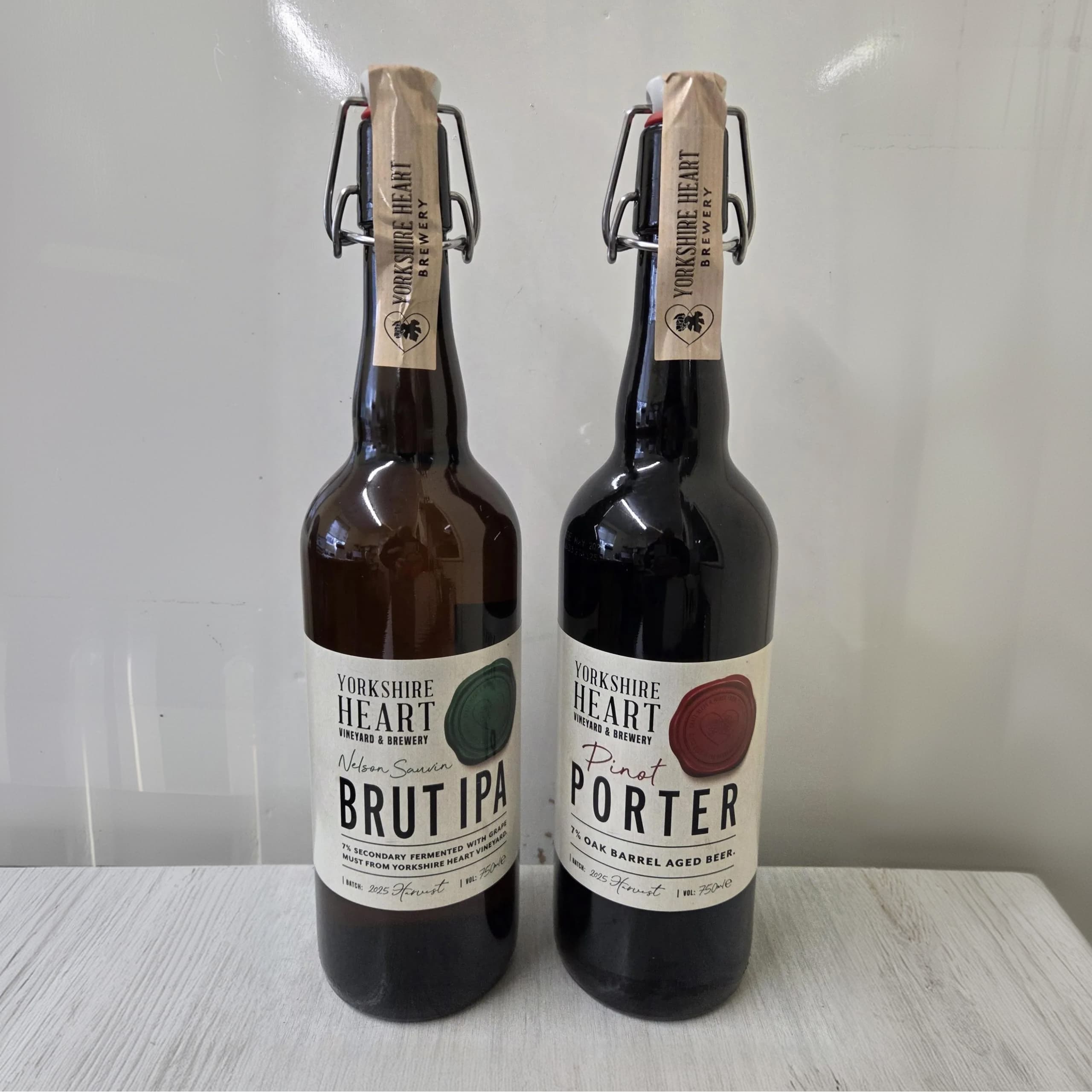 Pinot Porter & Nelson Sauvin IPA pack