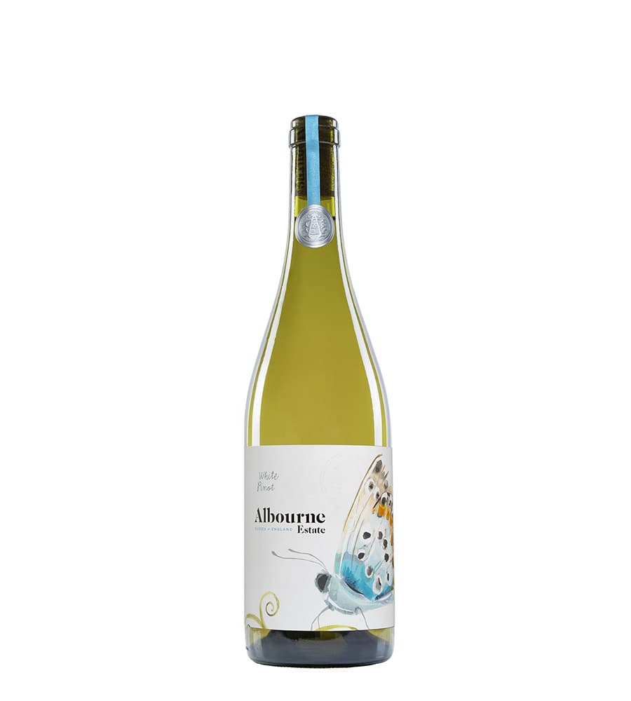 White Pinot MV