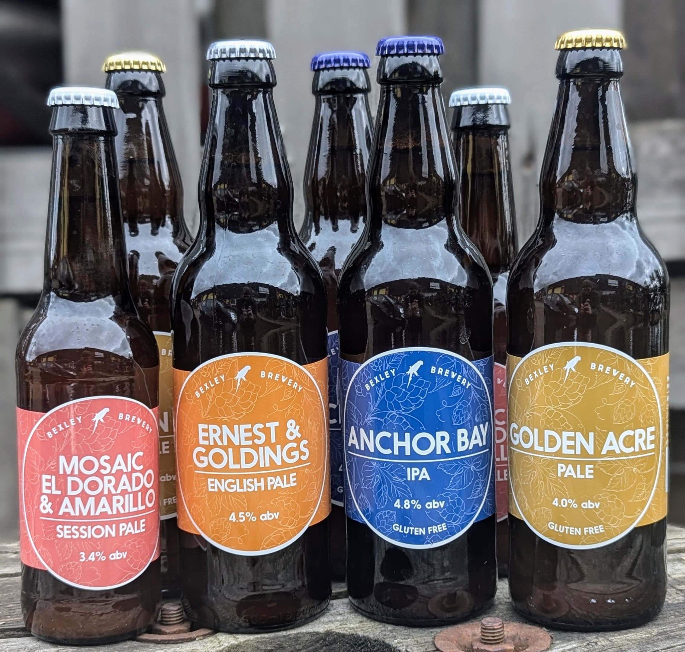Light & Hoppy Beer Box