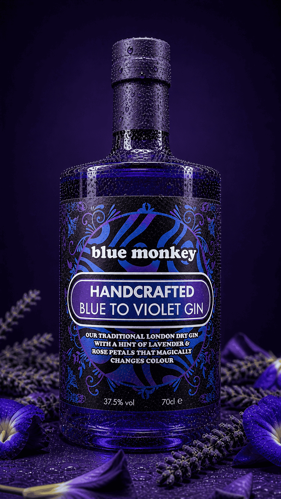 Blue to Violet