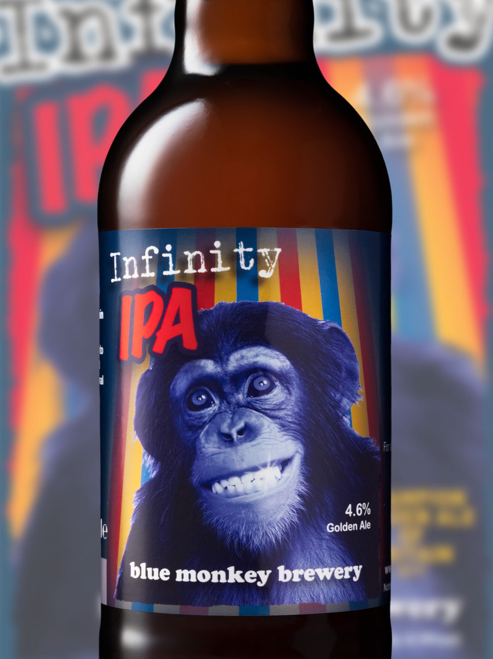 Infinity IPA Single Bottle