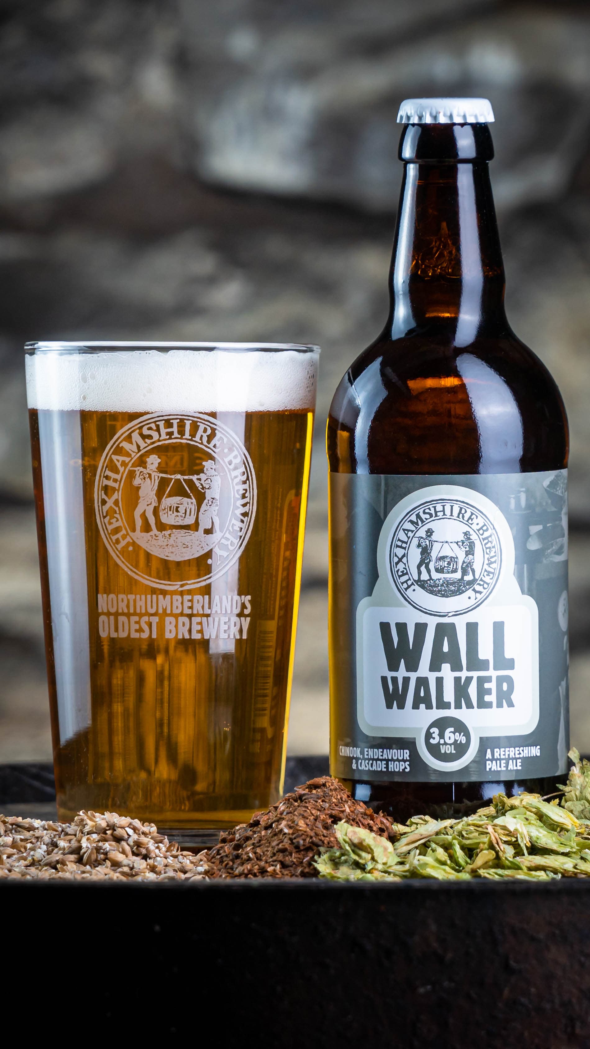 WALL WALKER: 12x500ml