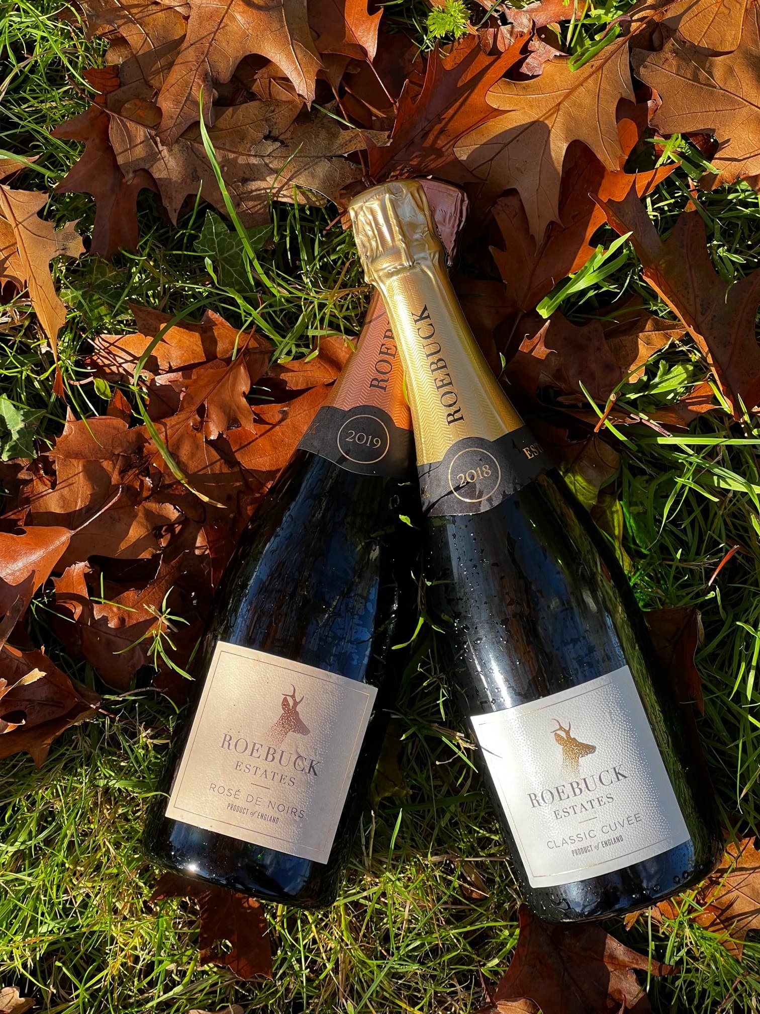 Roebuck Estate Sparkling Wine