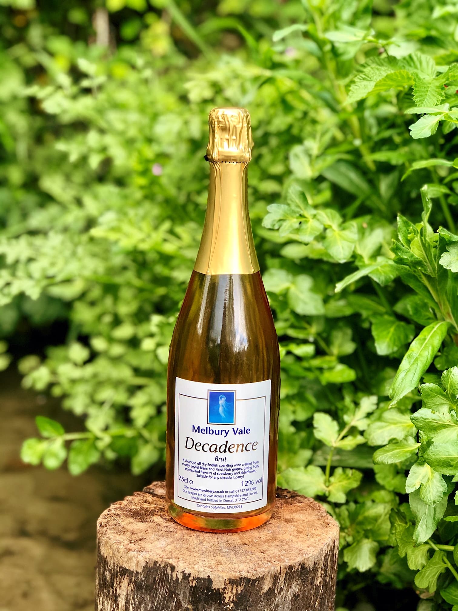 Decadence (Sparkling Wine)