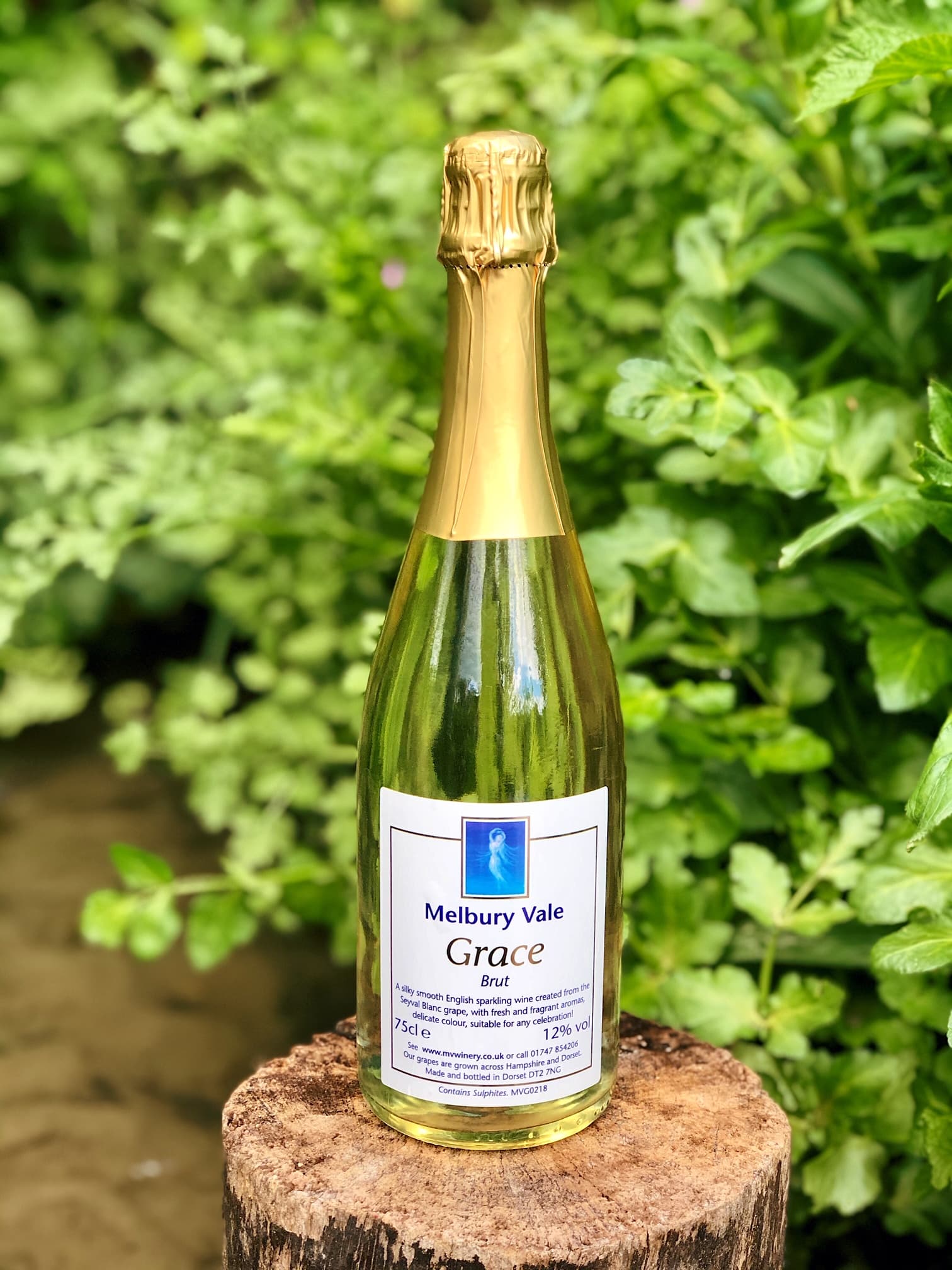 Grace (Sparkling Wine)