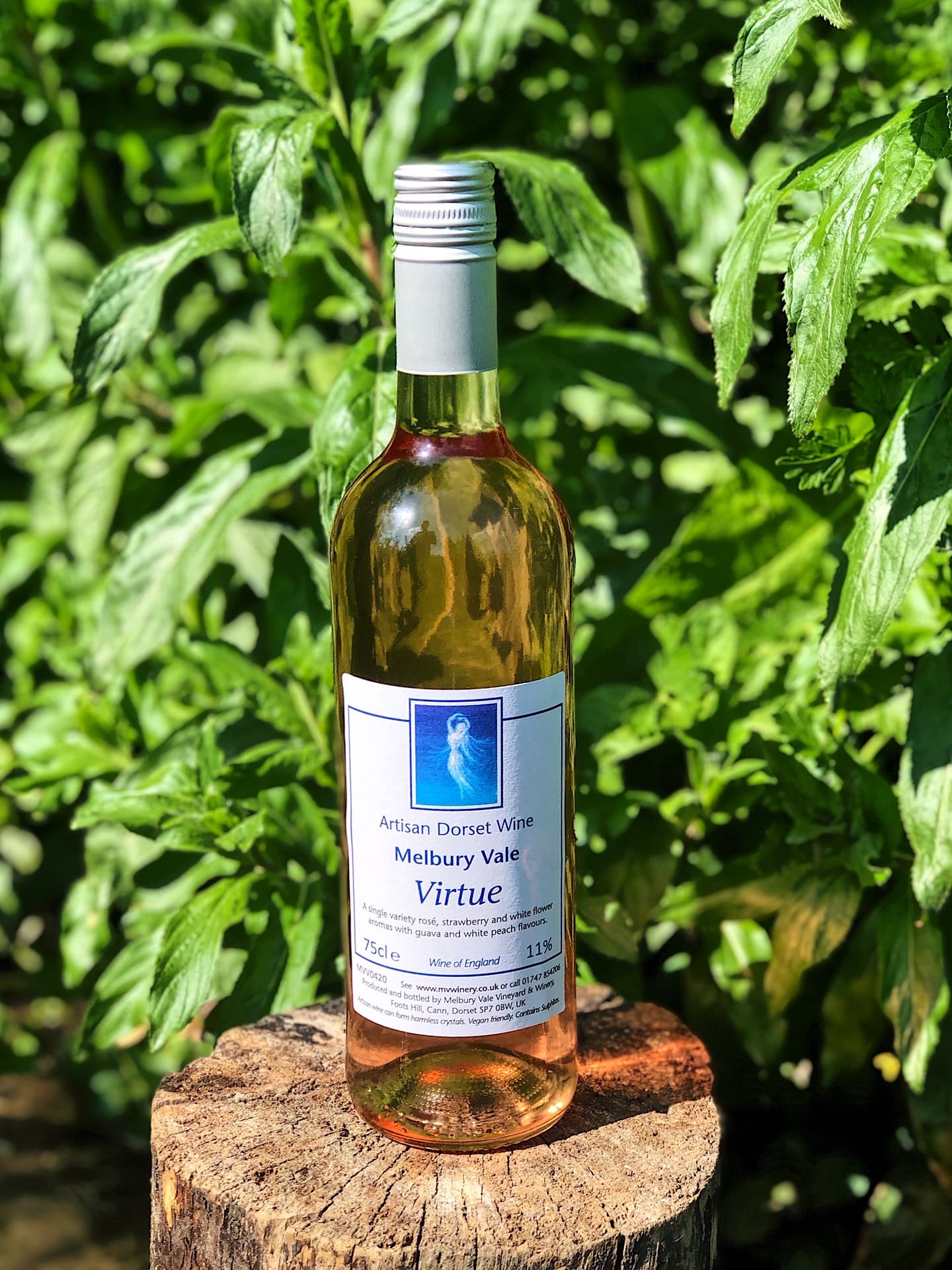 Virtue (Still Wine)