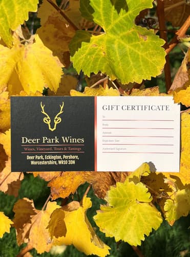 Gift Certificate
