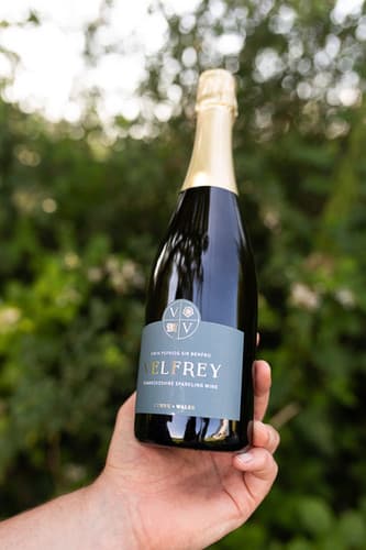 Velfrey Non-Vintage Welsh Sparkling Wine