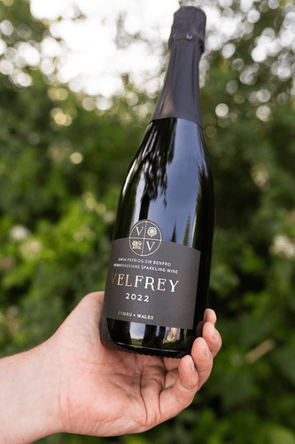 Velfrey 2022 Vintage Welsh Sparkling Wine