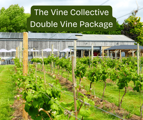 The Vine Collective: Double Vine Package