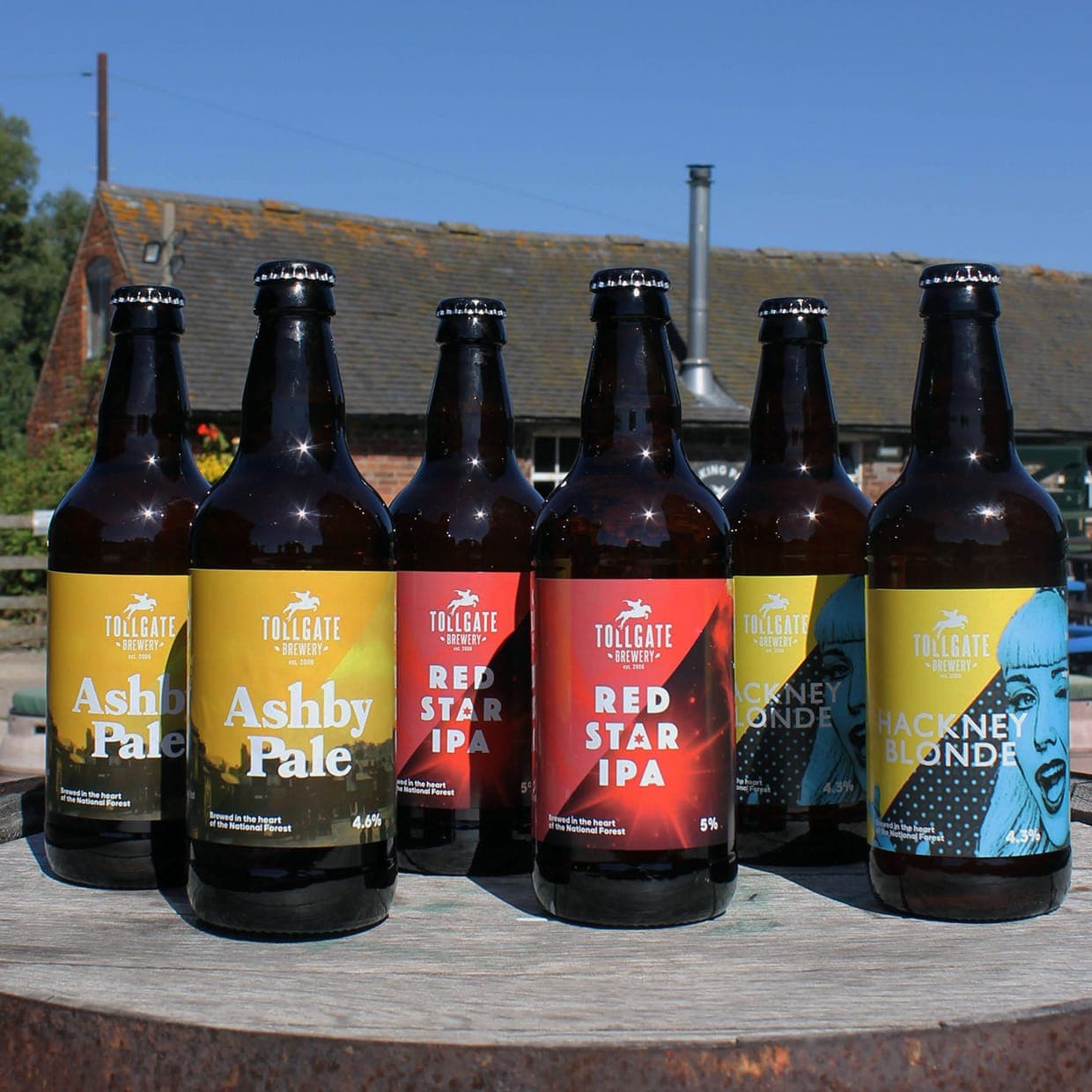12 Bottle Mix Core Range Pale Box