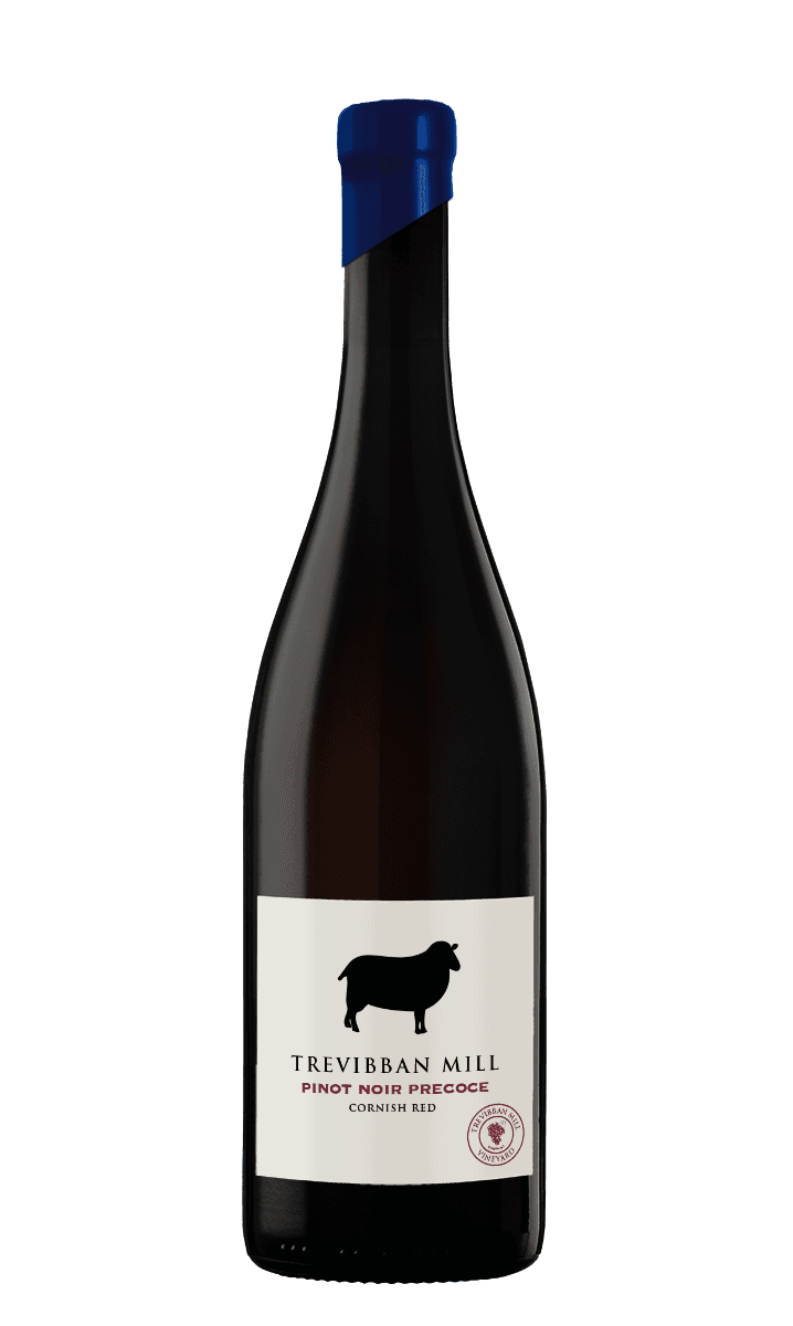 Pinot Noir Precoce 2023