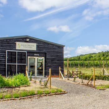 Albury Organic Vineyard