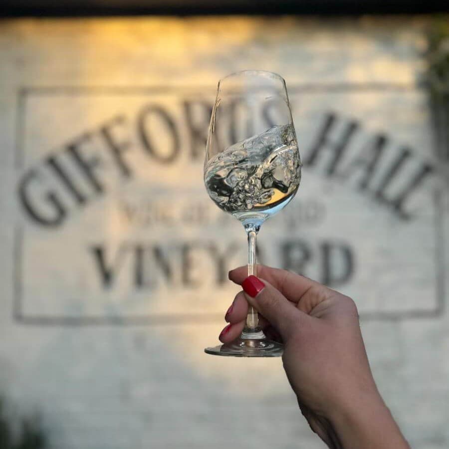 Giffords Hall Vineyard