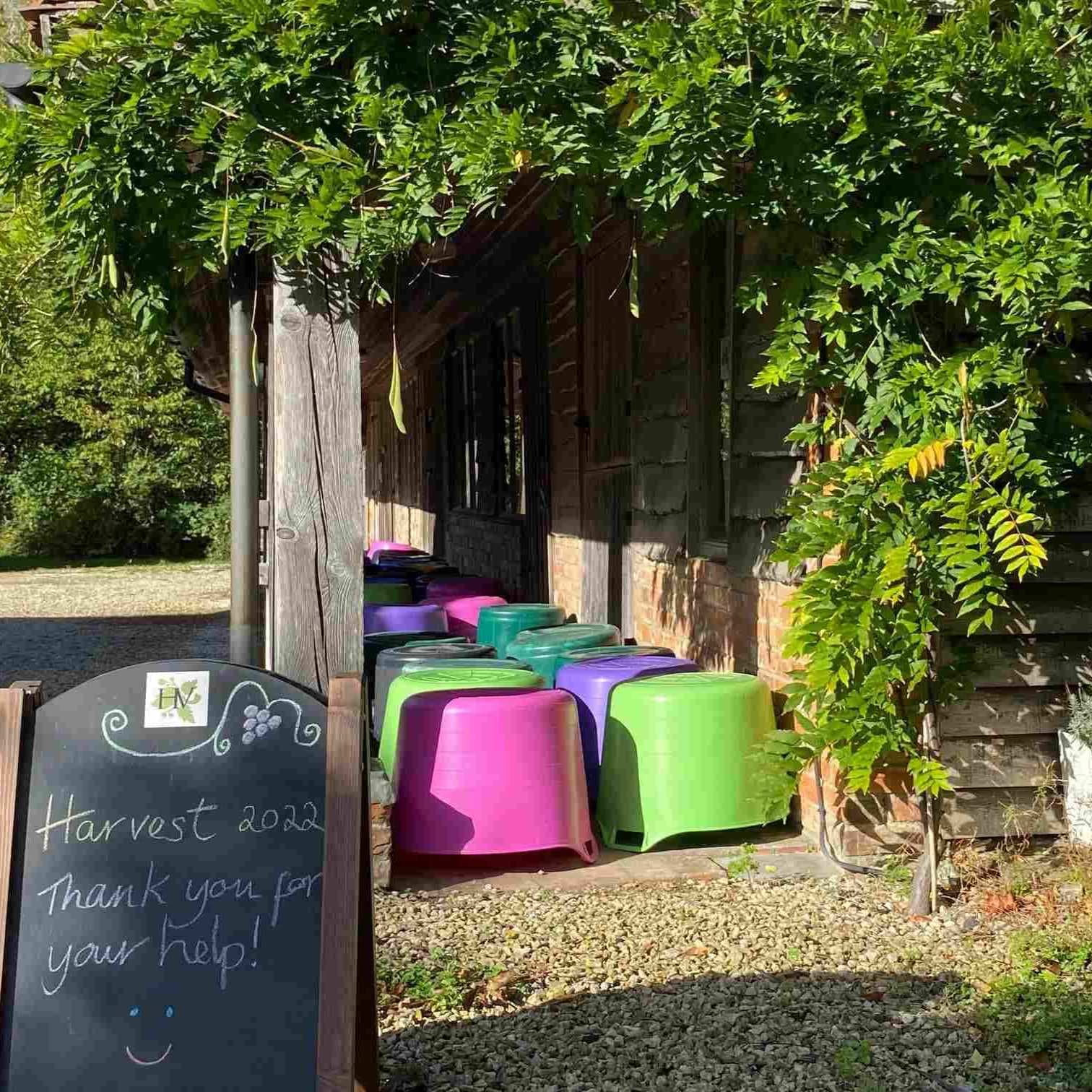 Hendred Vineyard