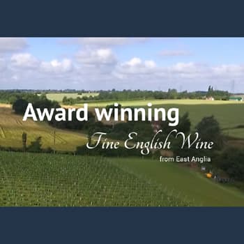 Toppesfield Vineyard