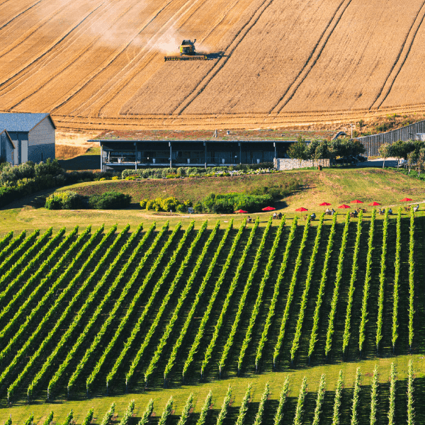 Rathfinny Wine Estate