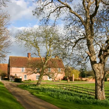 Bardfield Vineyard