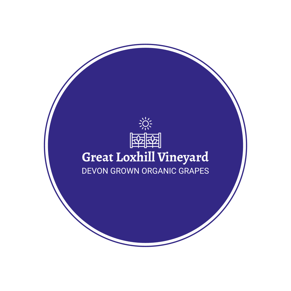 Great Loxhill Vineyard