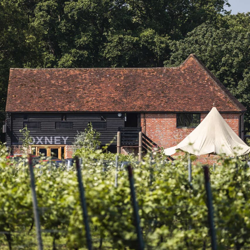 Oxney Organic Estate