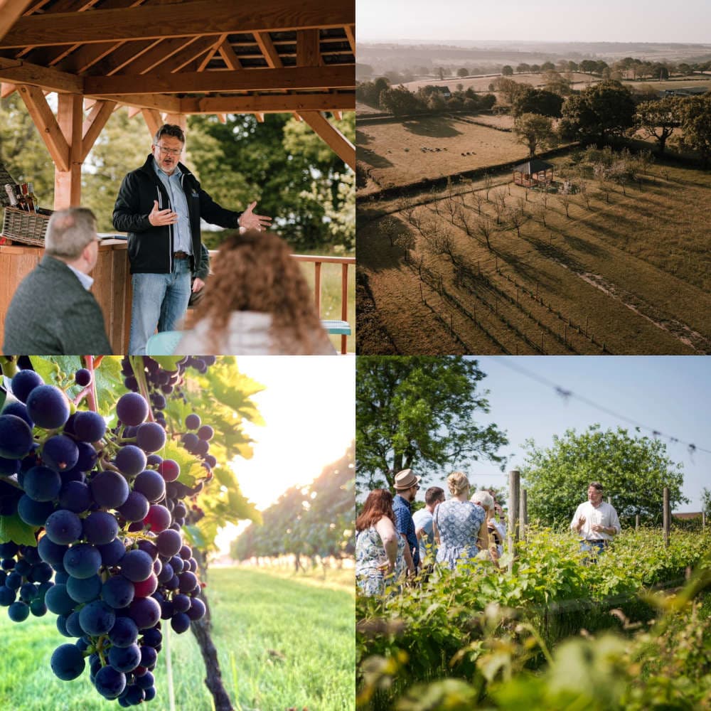 Amber Valley Wines Ltd