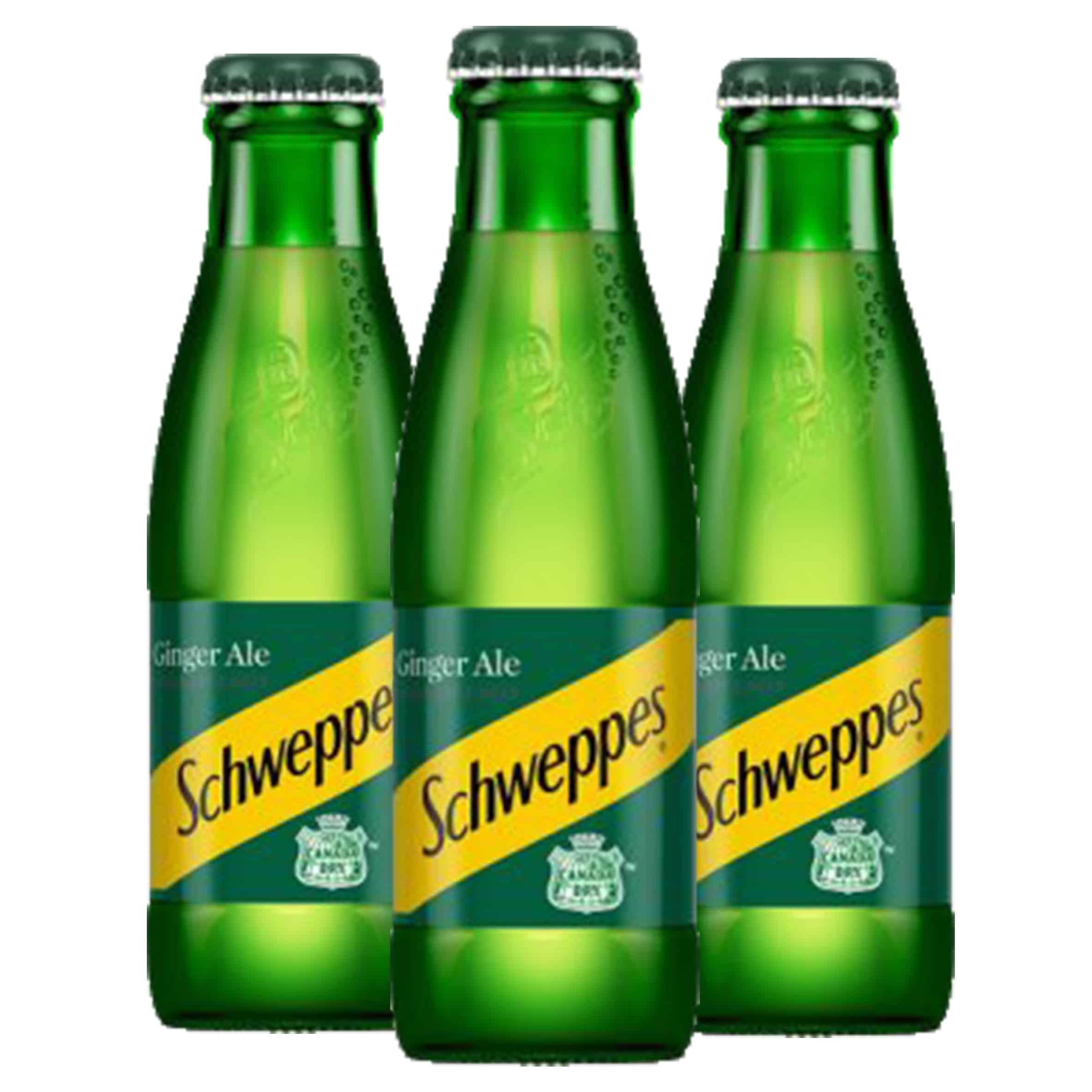 NEAR END OF DATE Schweppes Ginger Ale 200ml x 20