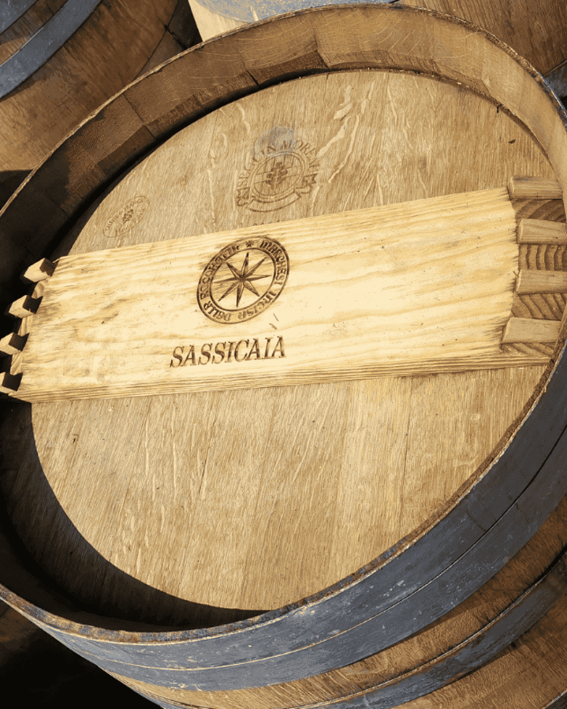Sassicaia Red Wine Barrel