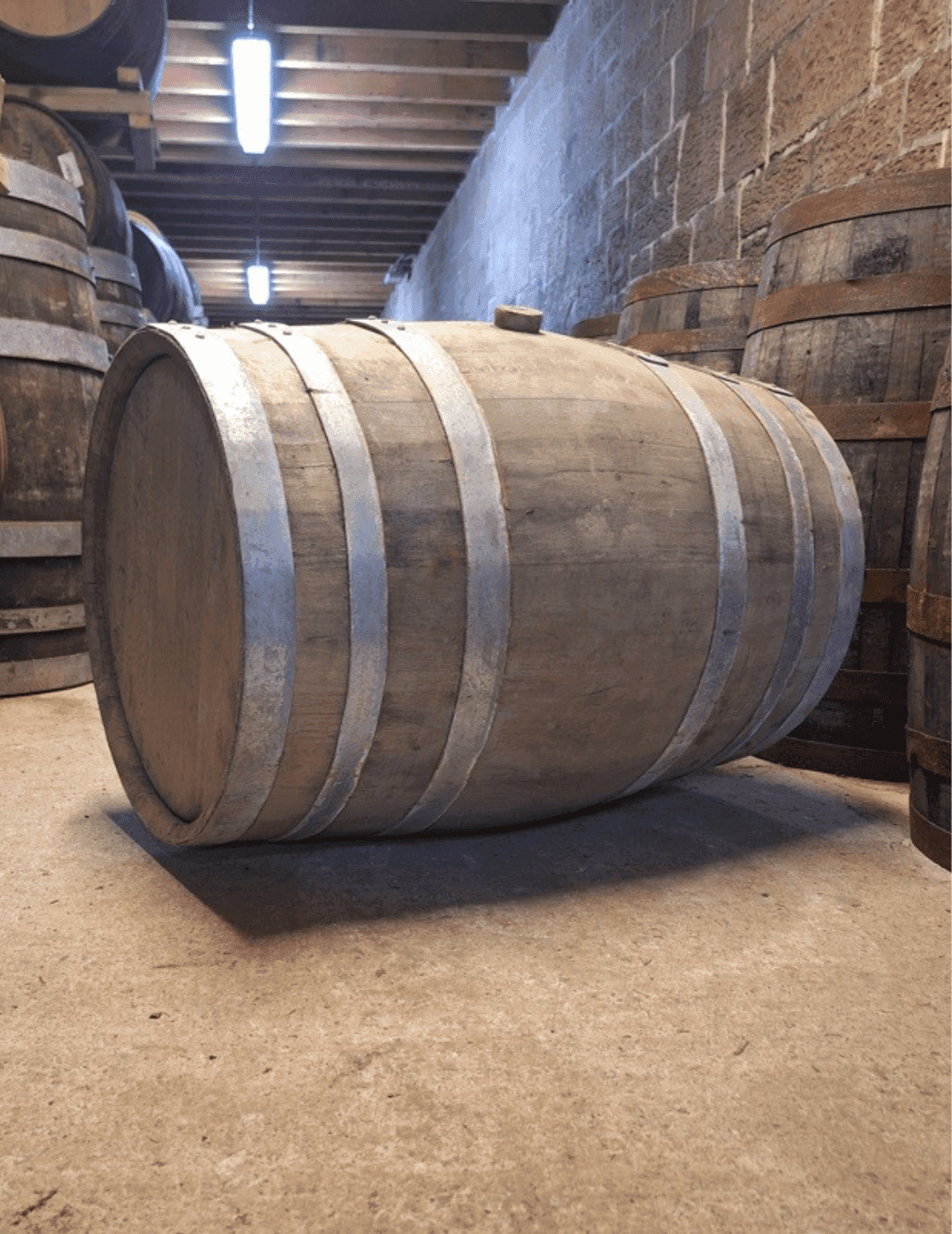 Colombian Virgin Oak
