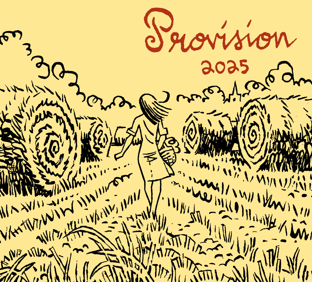Provision 2025