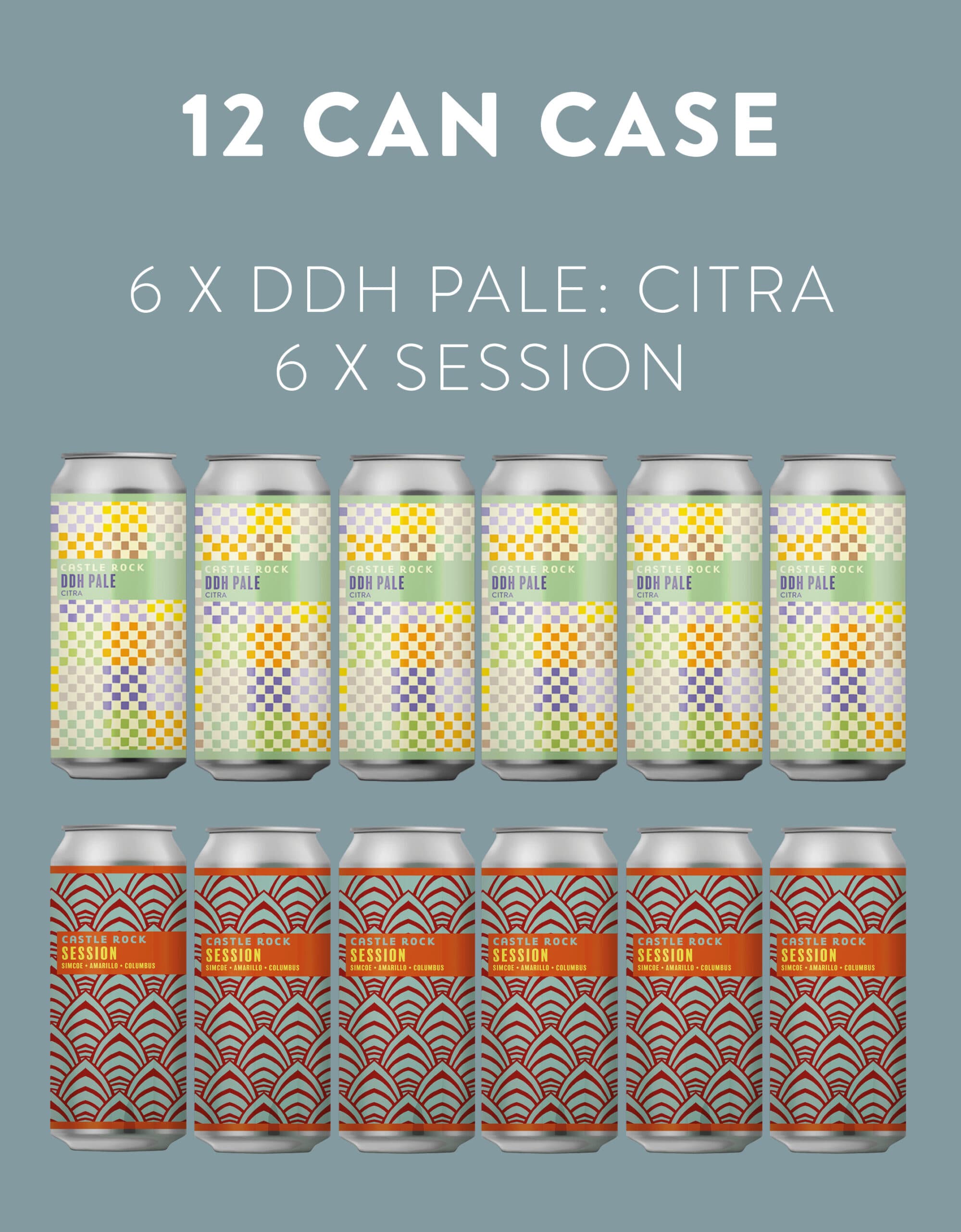 12 CAN CASE