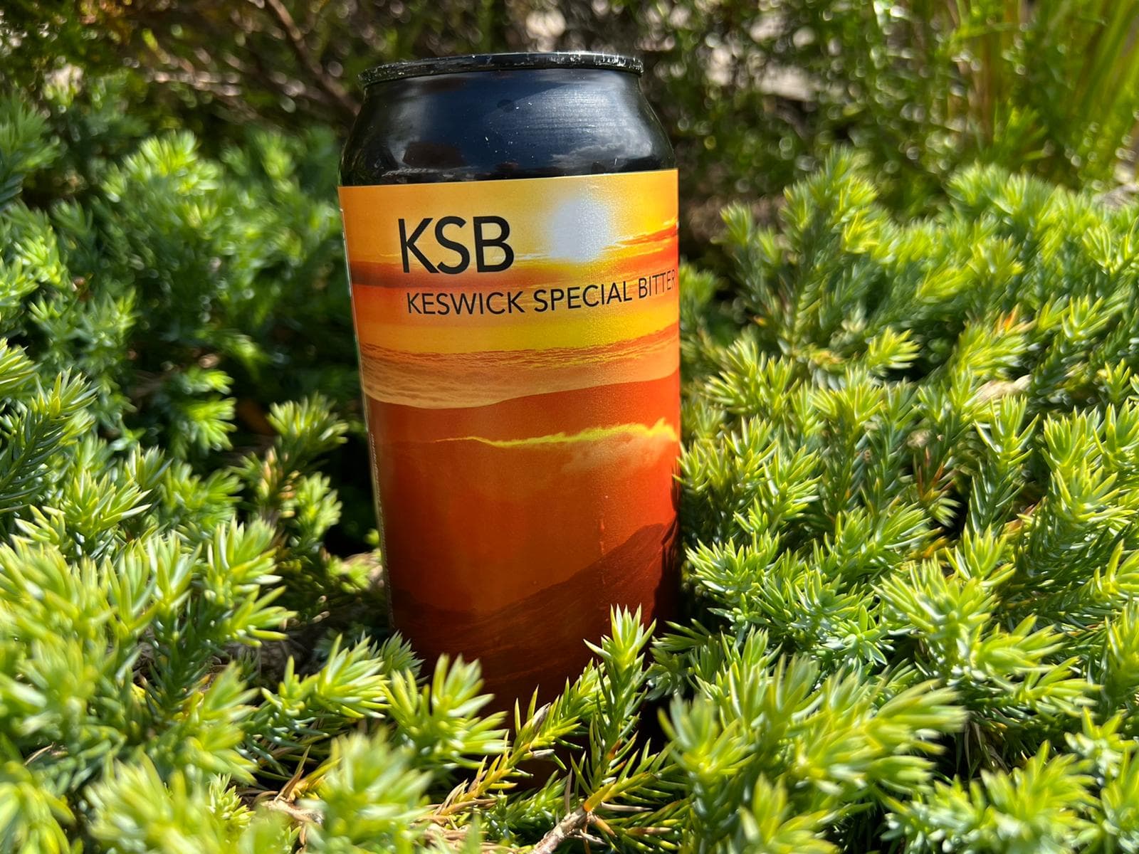 KSB