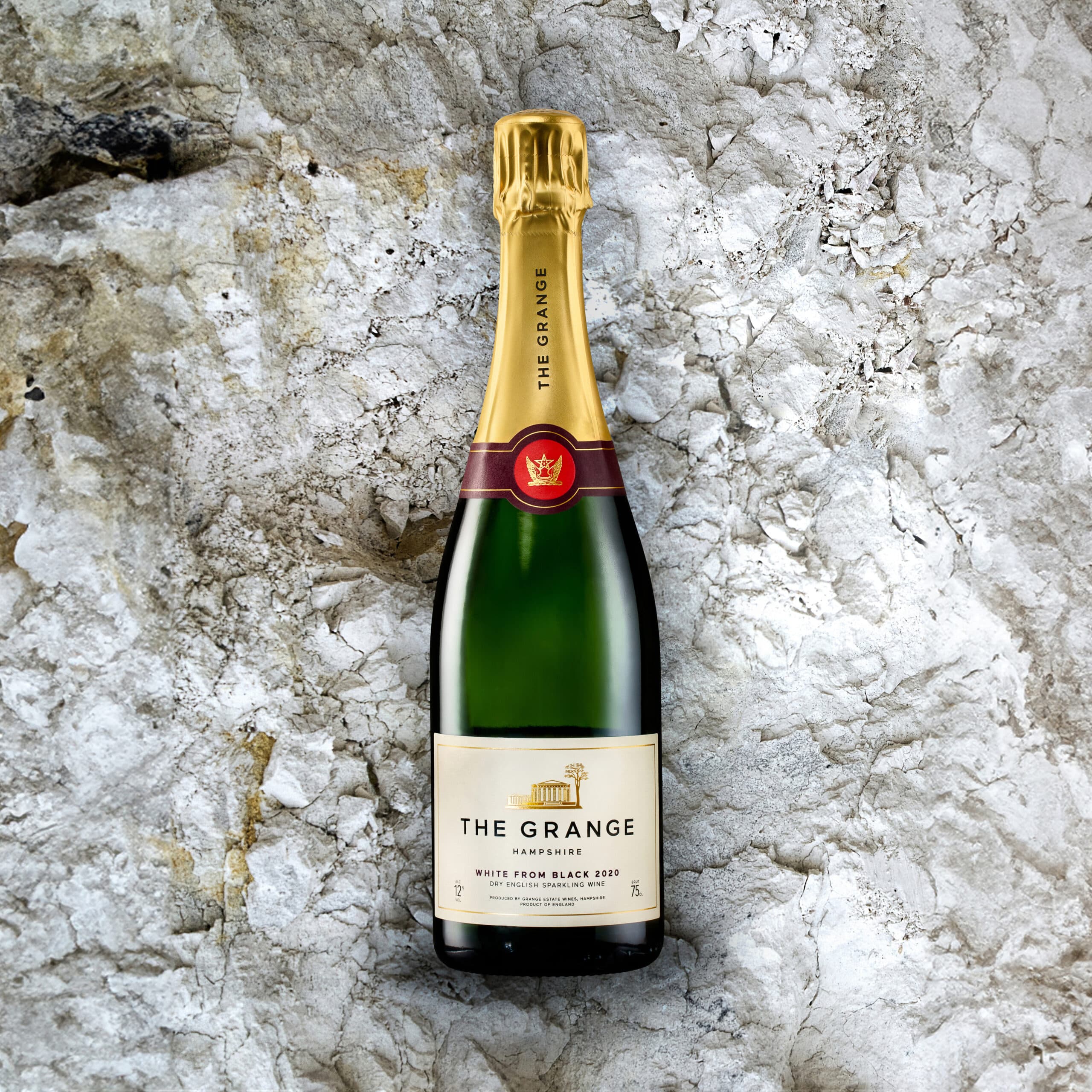 The WHITE FROM BLACK 2019