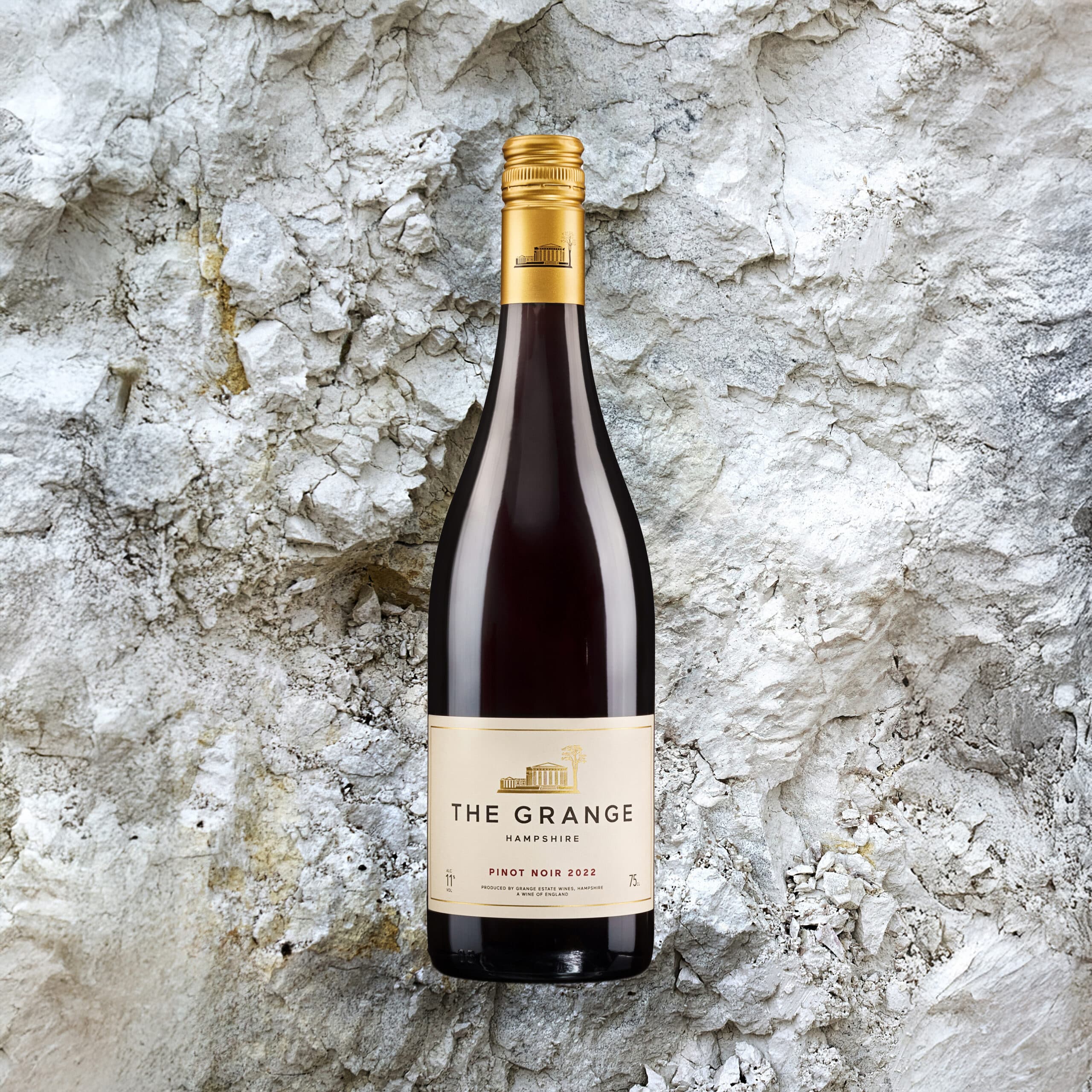 The PINOT NOIR 2022 – SOLD OUT