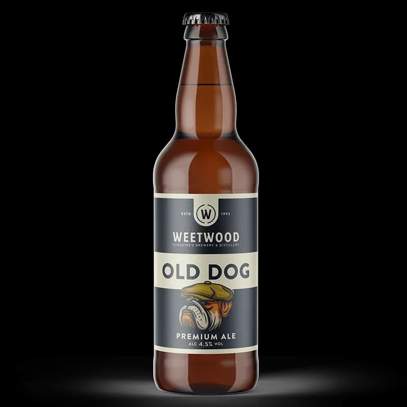 Old Dog